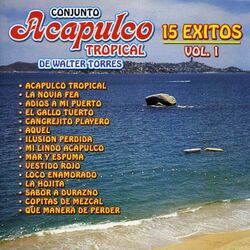 Cover of 15 Grandes Éxitos Vol. 1