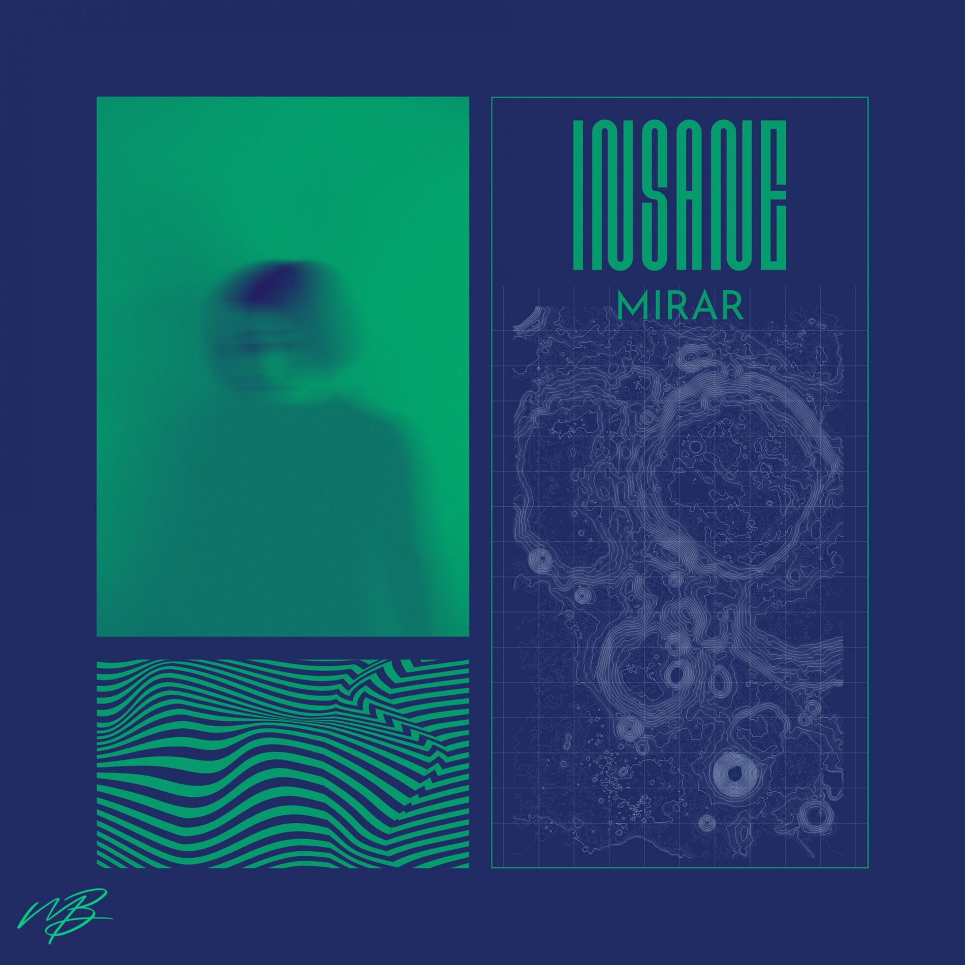 Album cover of Insane