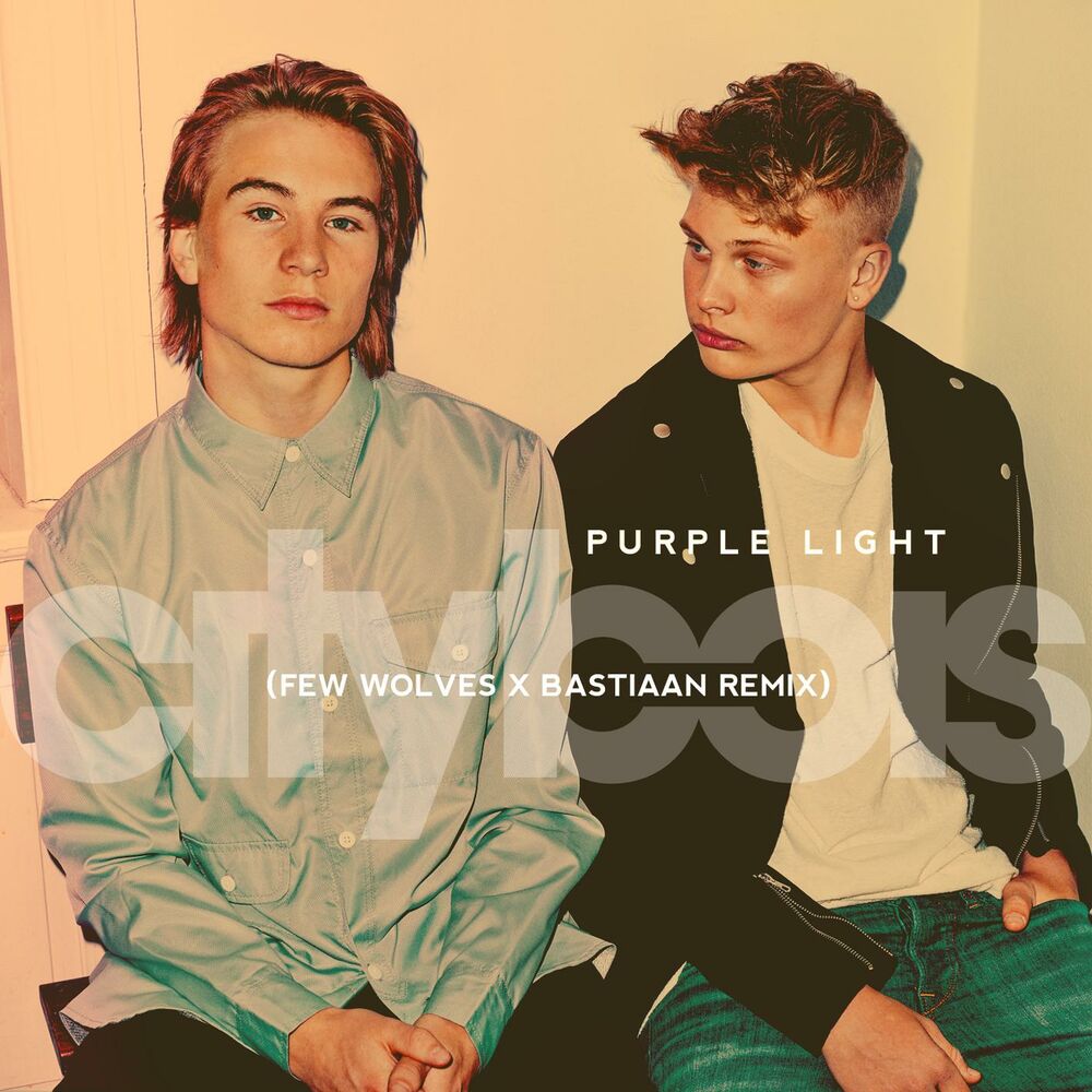Picture of Purple Light (feat. Few Wolves) (Few Wolves & Bastiaan Remix)