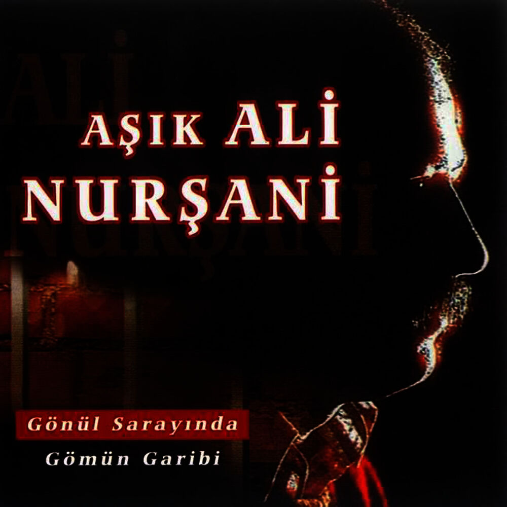 Picture of Gönül Sarayında Gömün Garibi
