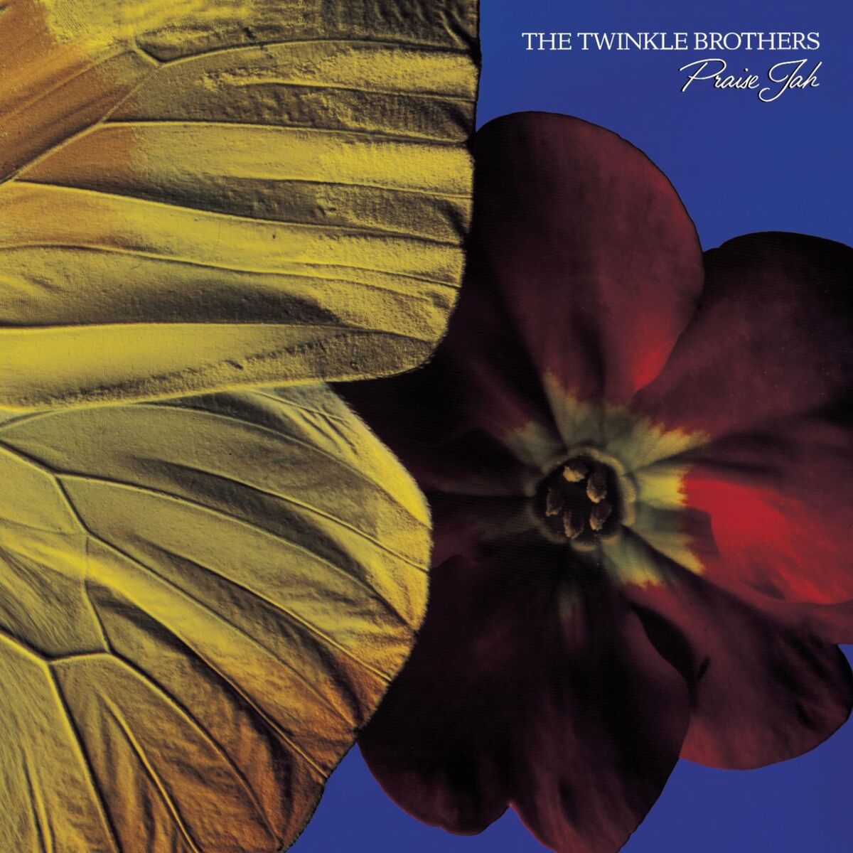 Album cover of Jahoviah