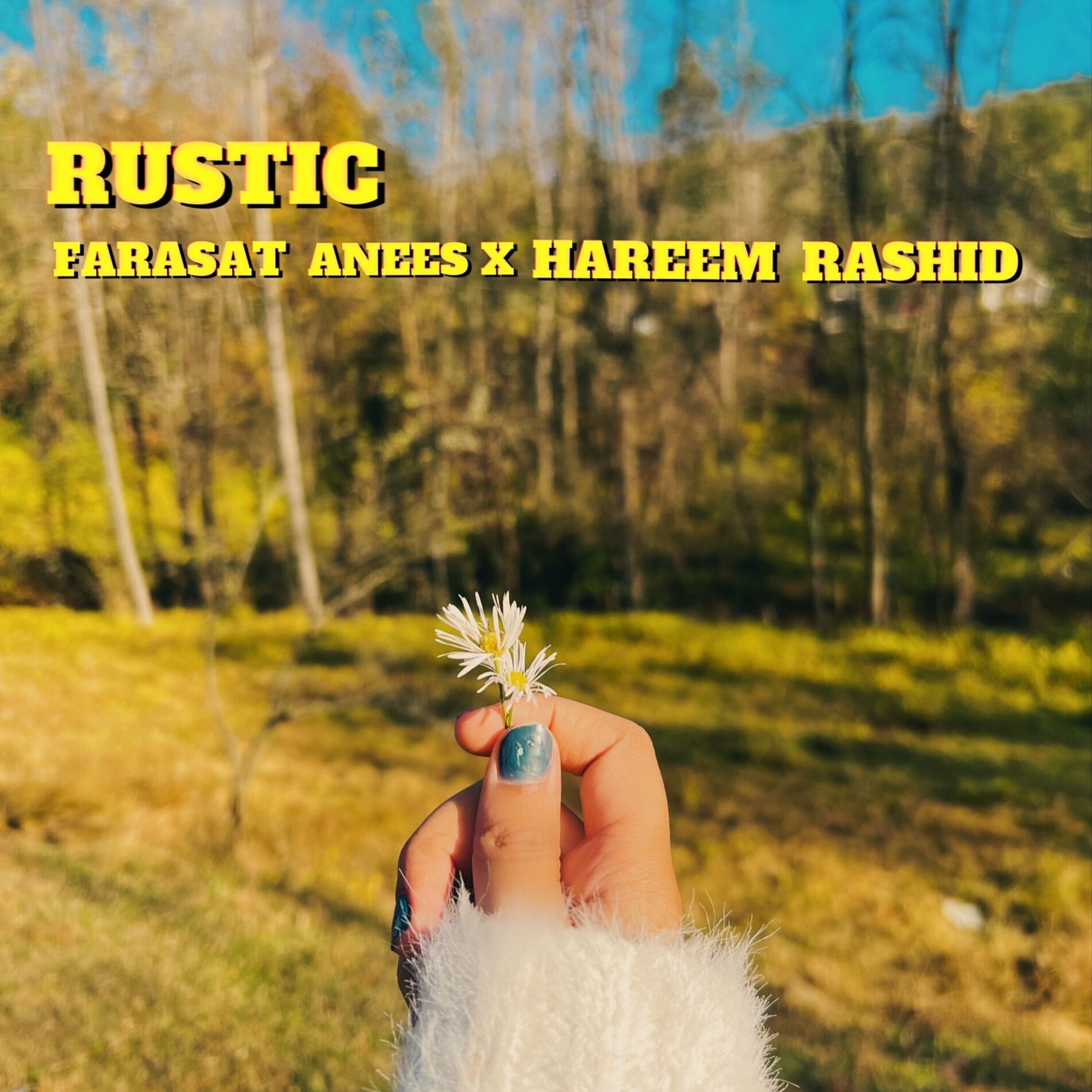 Album cover of Rustic