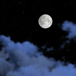 Cover of Moon