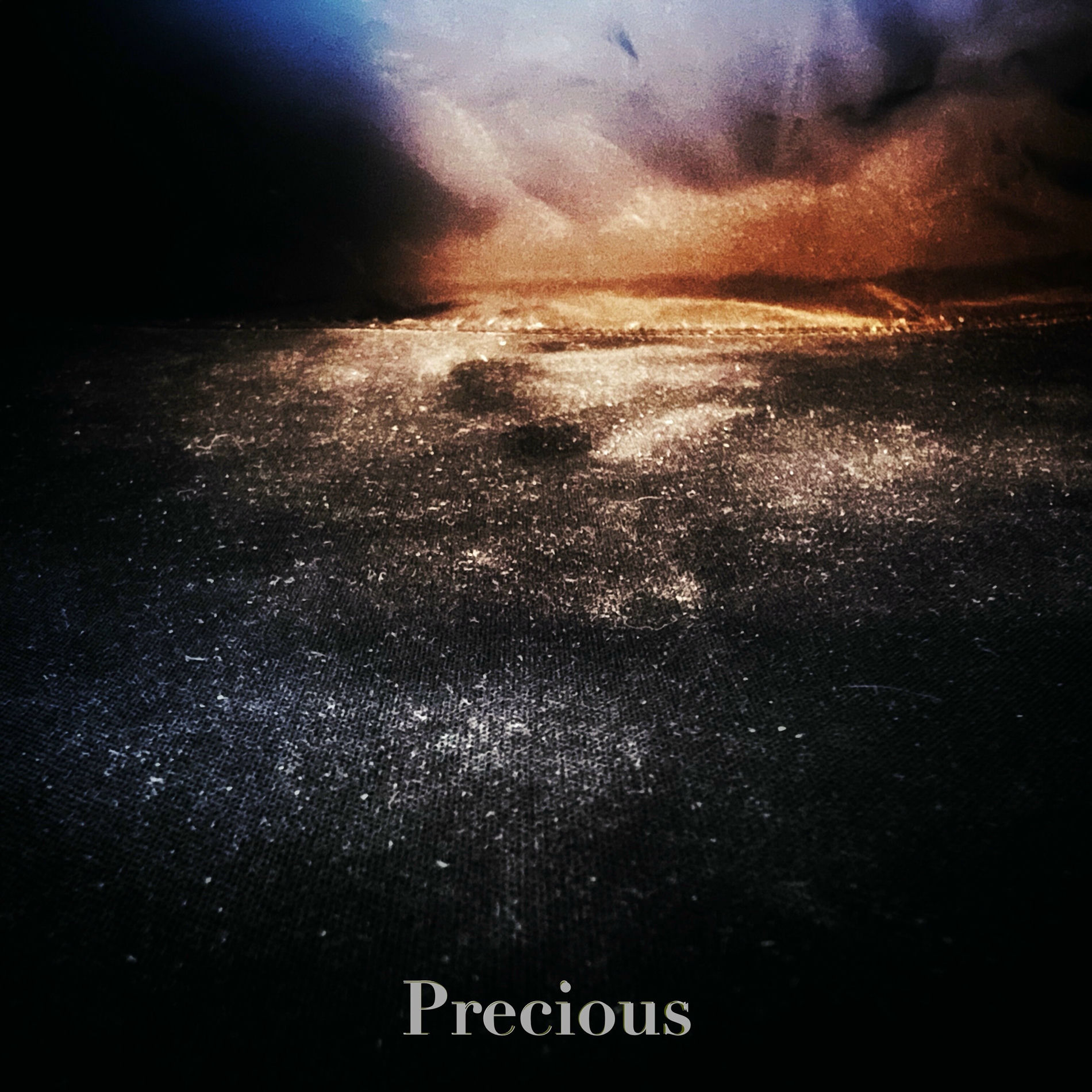 Album cover of Precious