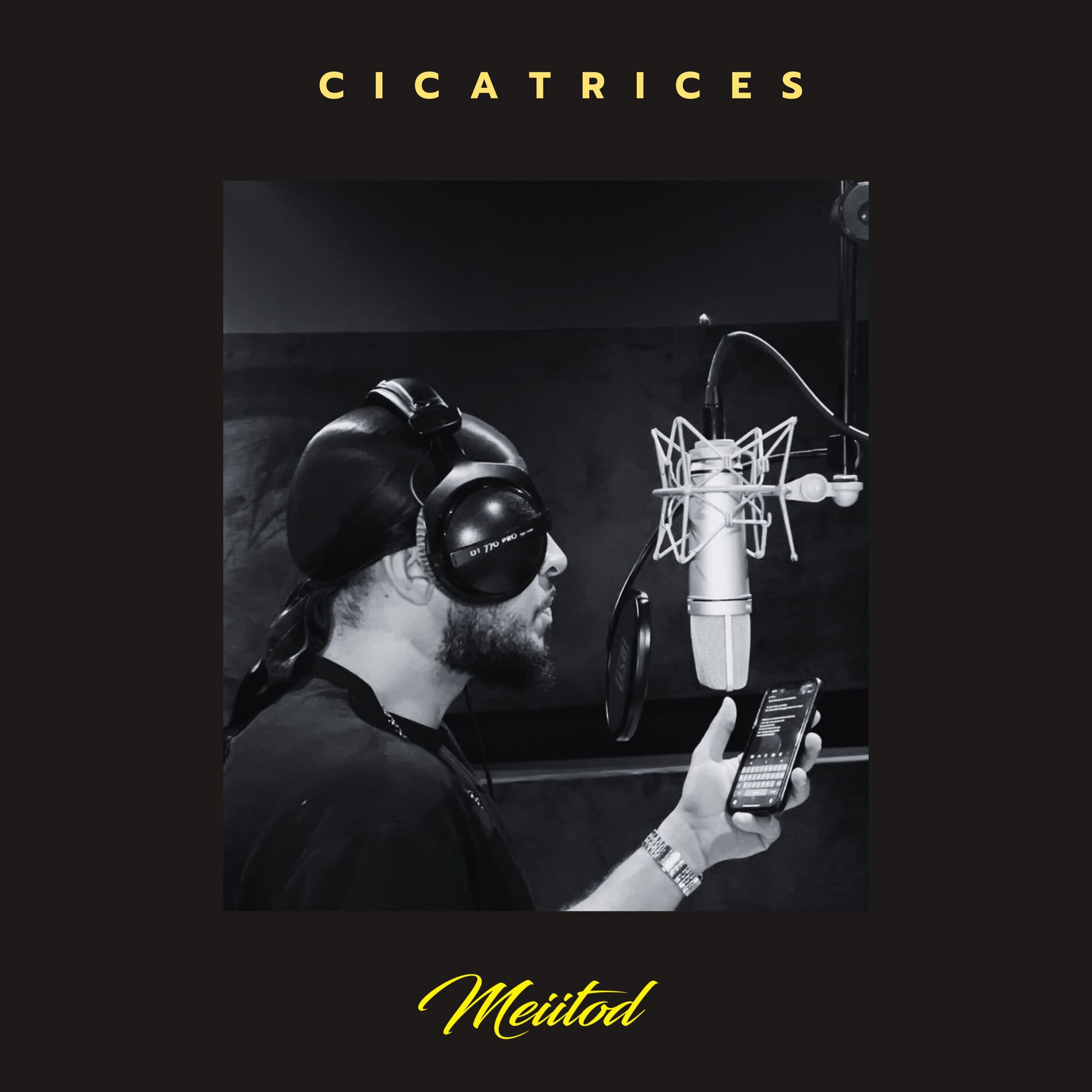 Album cover of Cicatrices