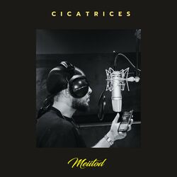 Cover of Cicatrices