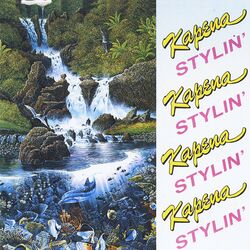 Cover of Stylin'
