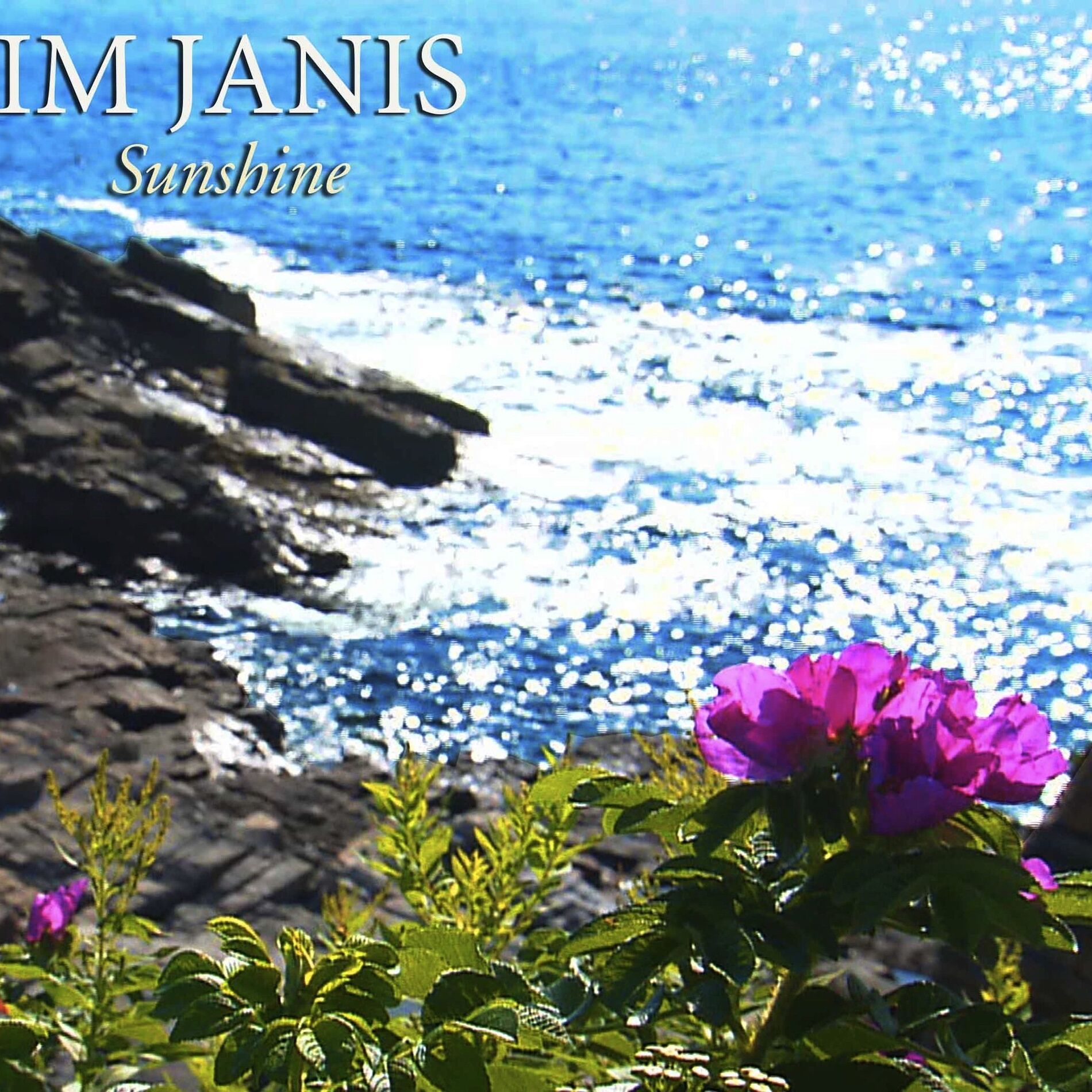 Album cover of Sunshine