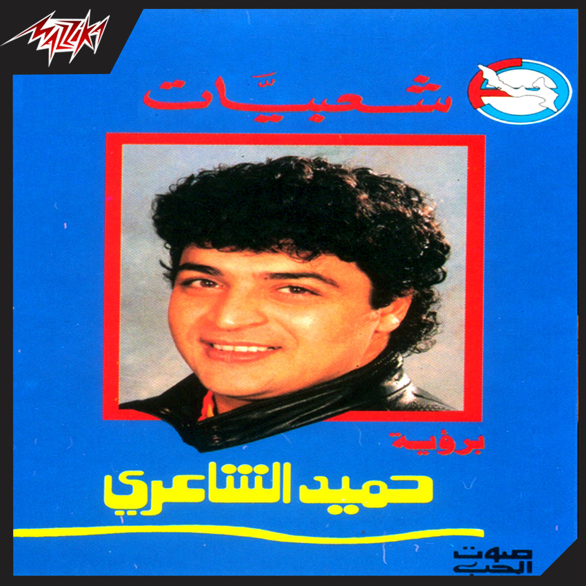 Album cover of Ana Saber