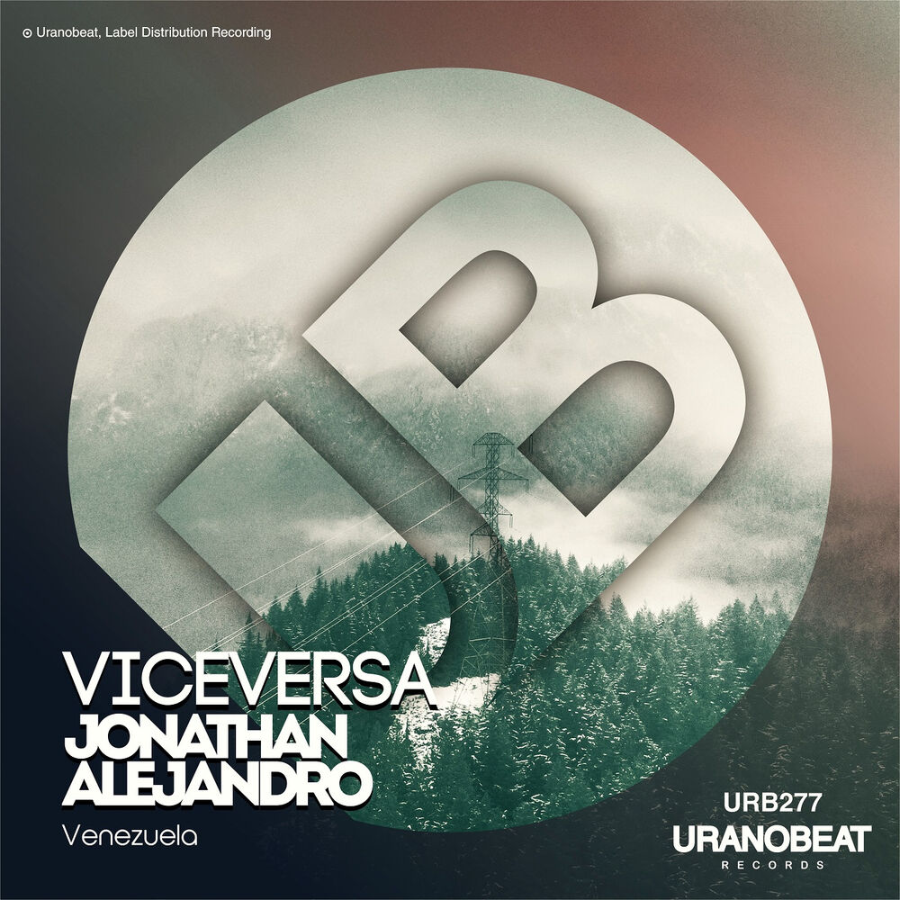 Picture of Viceversa