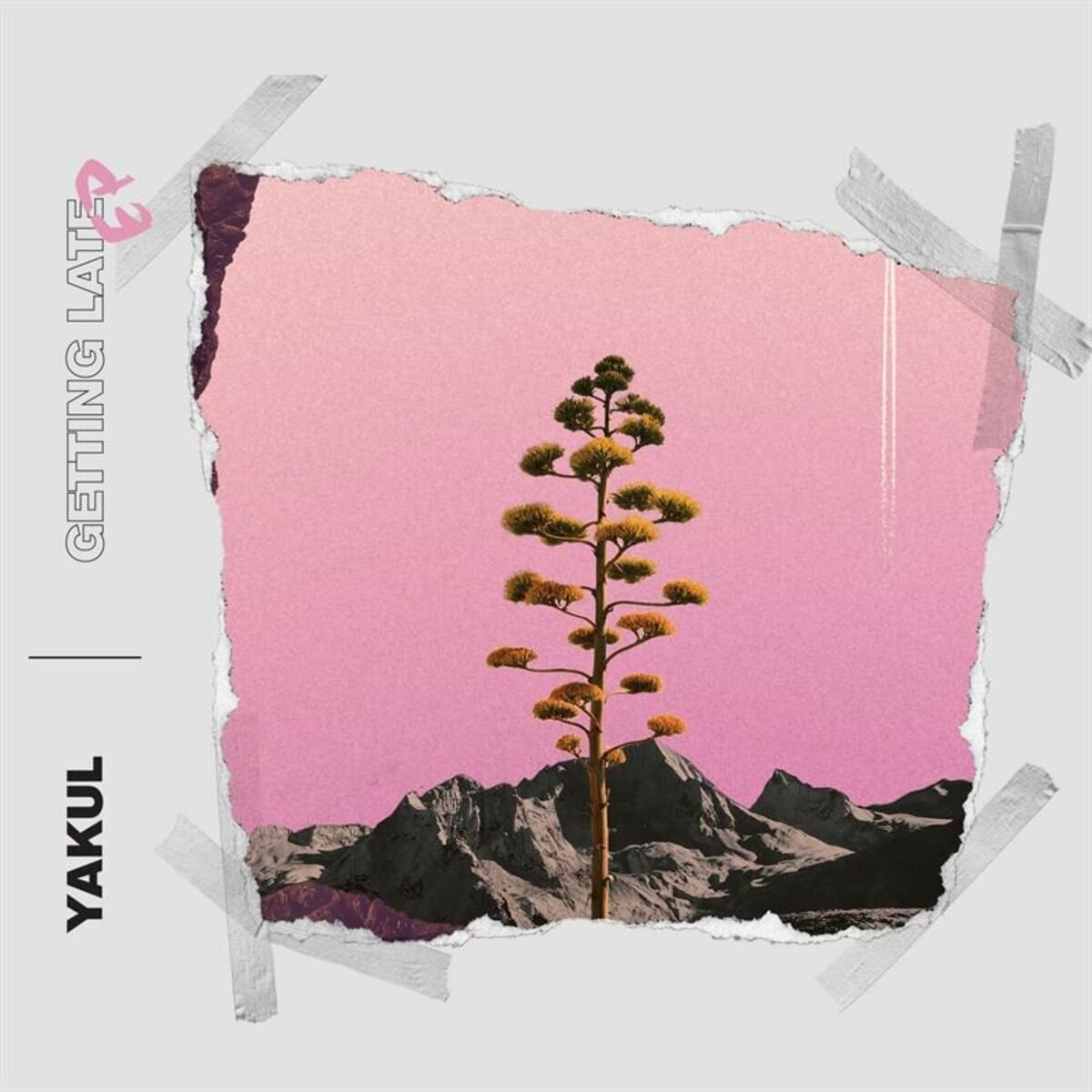 Album cover of Blossoming