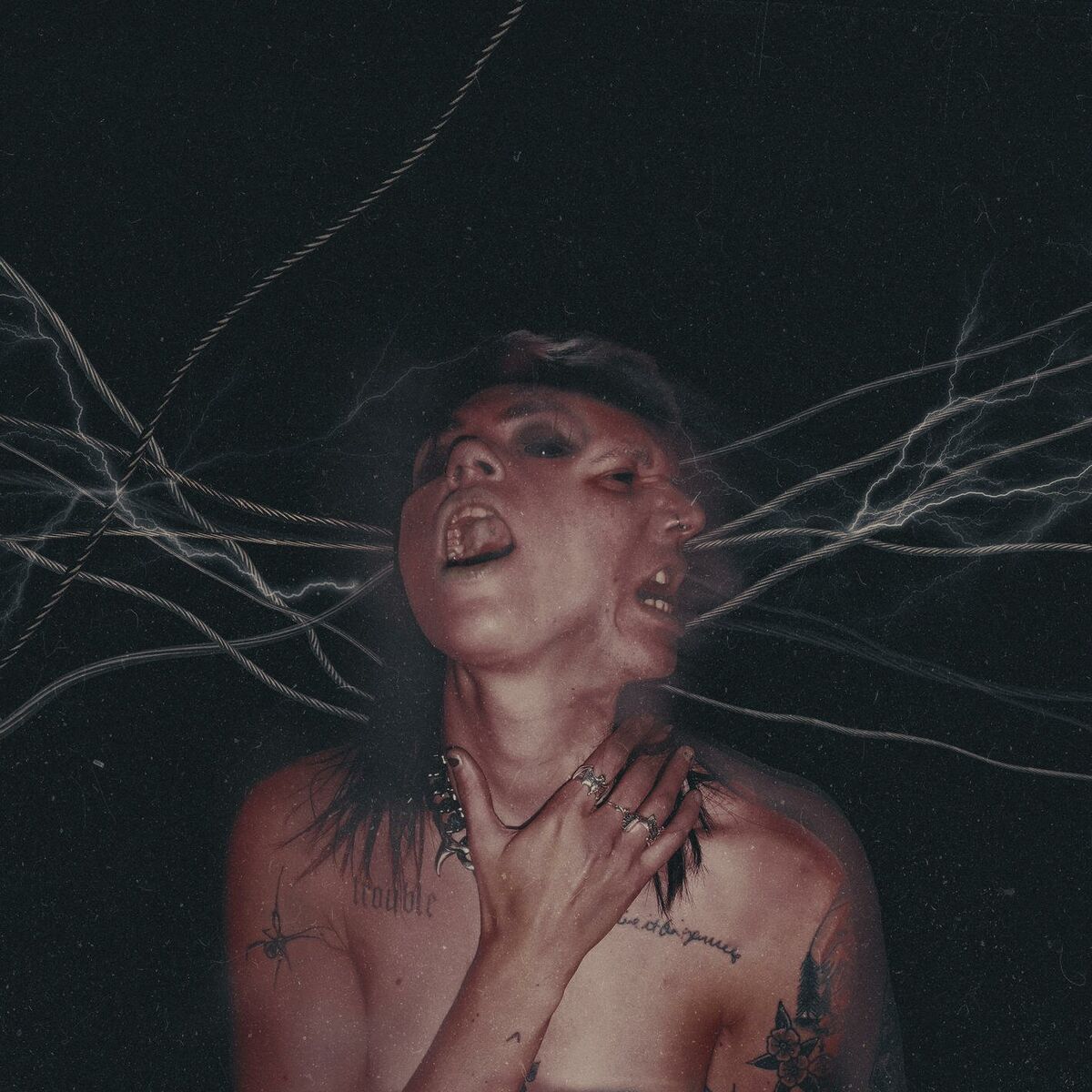 Album cover of PARTY ON MY DEATHBED