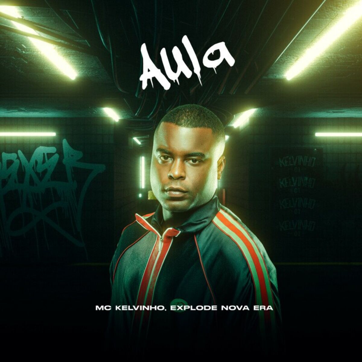 Album cover of Aula