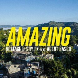 Cover of Amazing (feat. Agent Sasco)