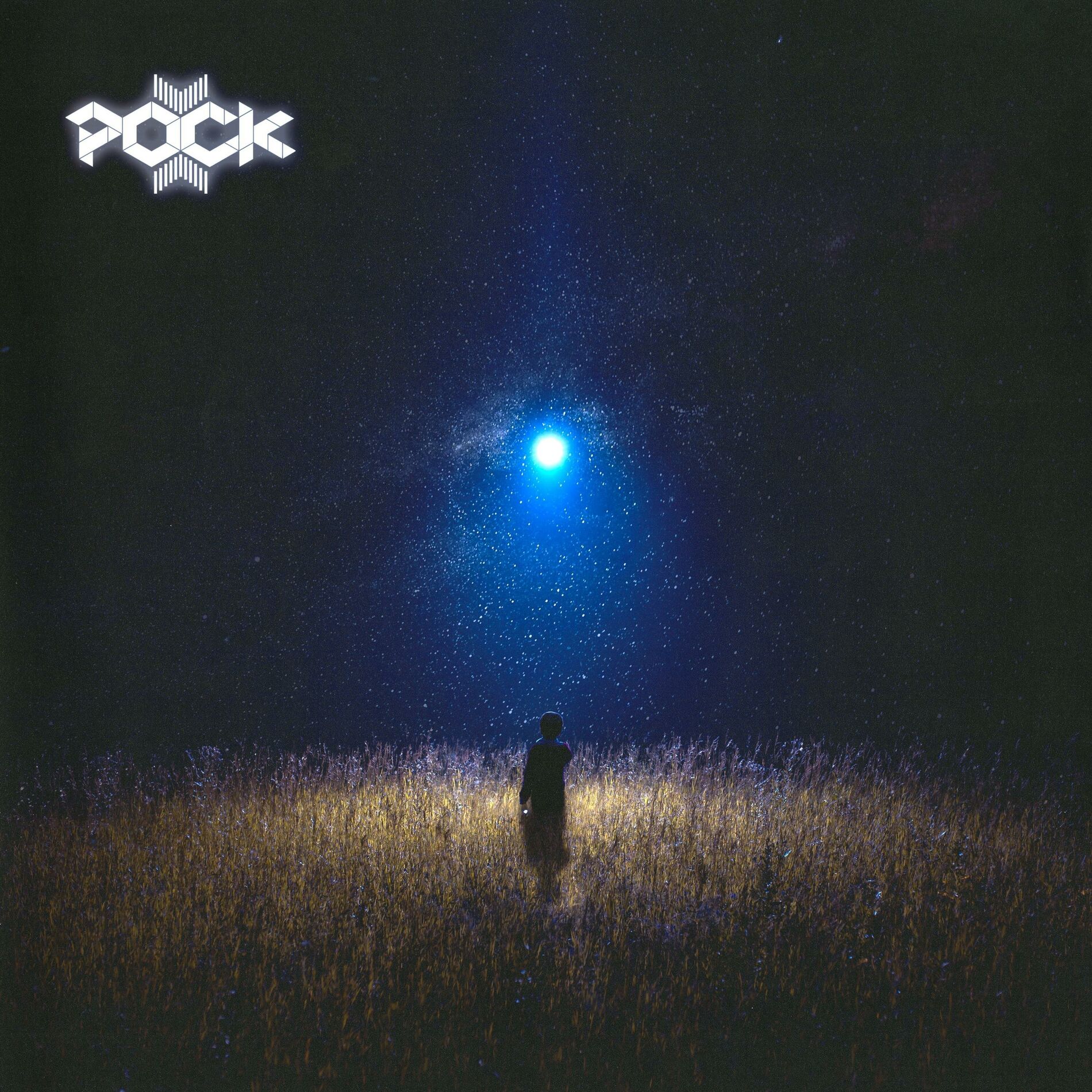 Album cover of Stories (Pock Remix)