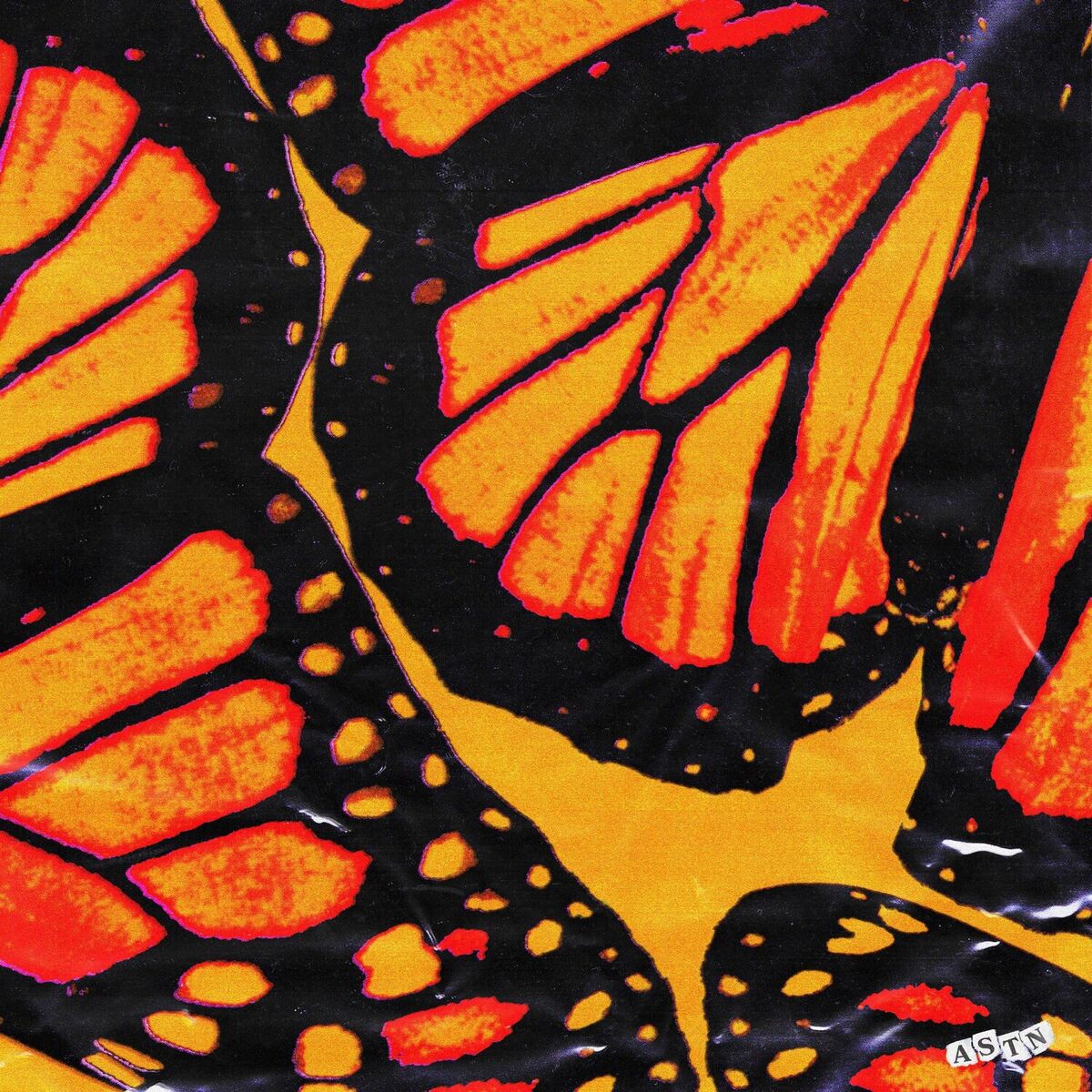 Album cover of Butterflies