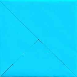 Cover of Piscine olympique