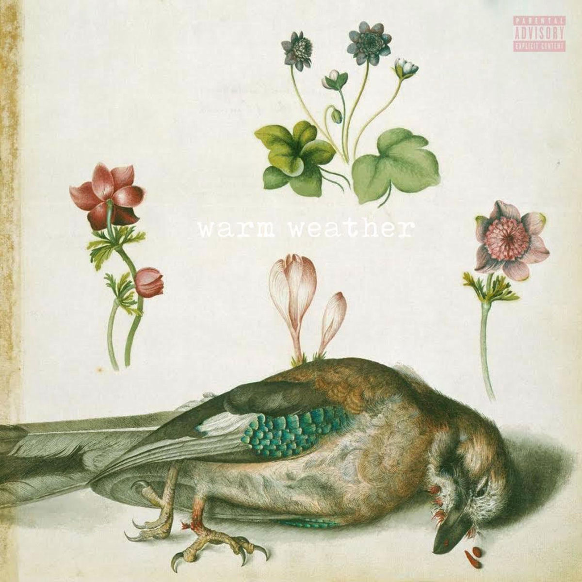 Album cover of Warm Weather