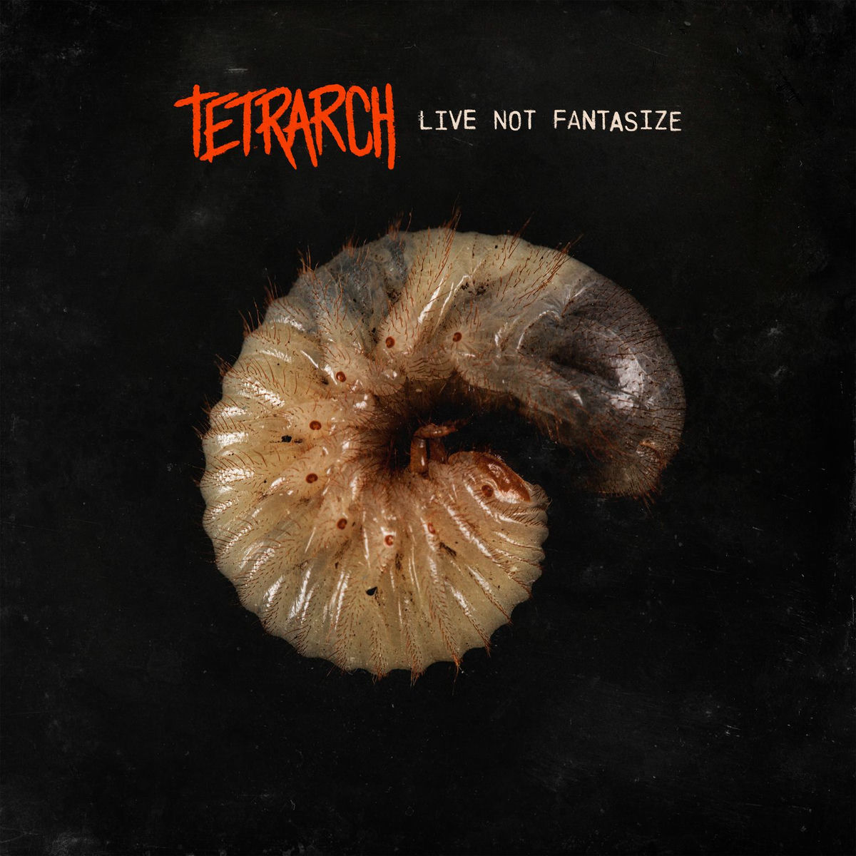 Album cover of Live Not Fantasize
