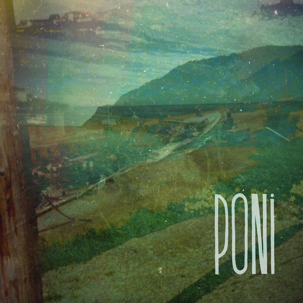 Picture of PONI