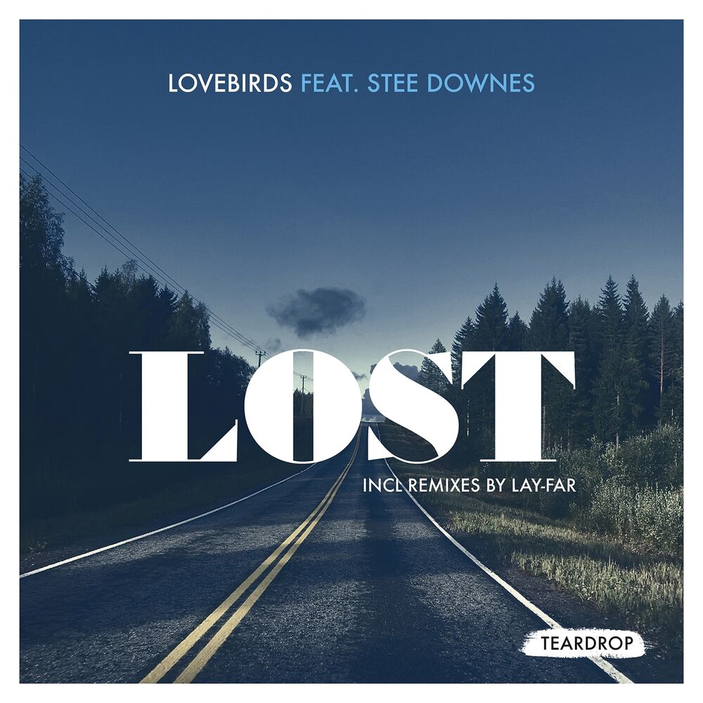 Picture of Lost