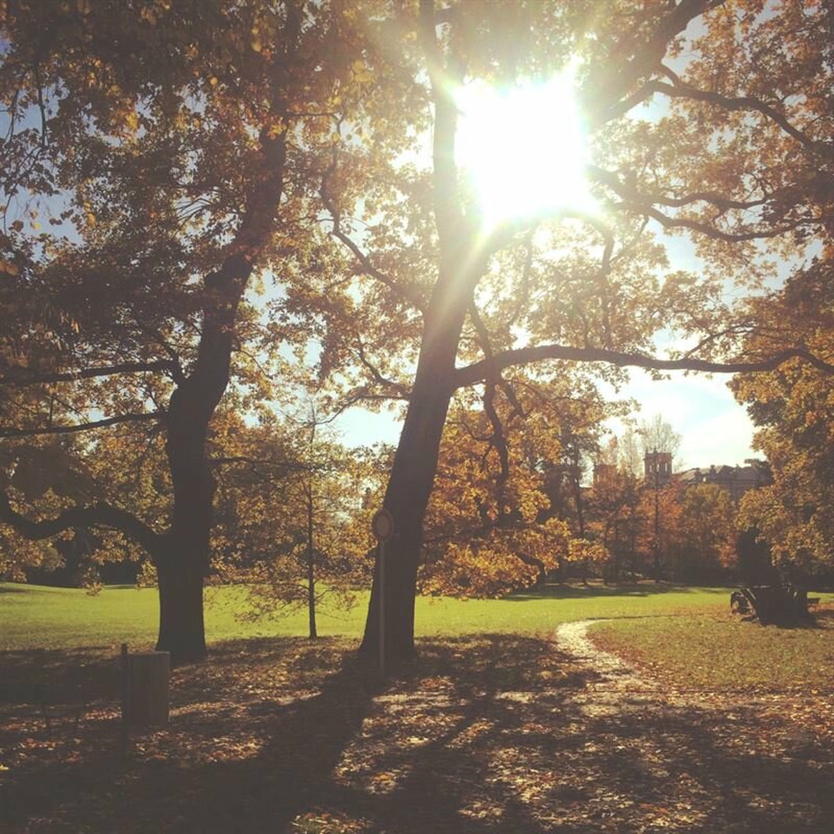 Album cover of Landslide