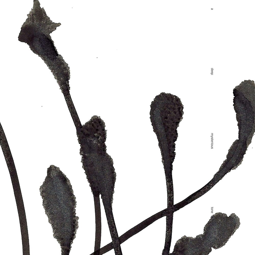 Picture of A Deep Mysterious Tone