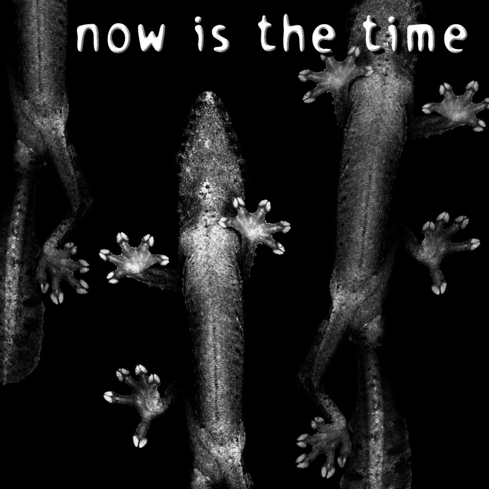 Picture of Now is the Time - EP