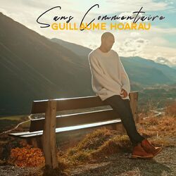 Cover of Sans Commentaire