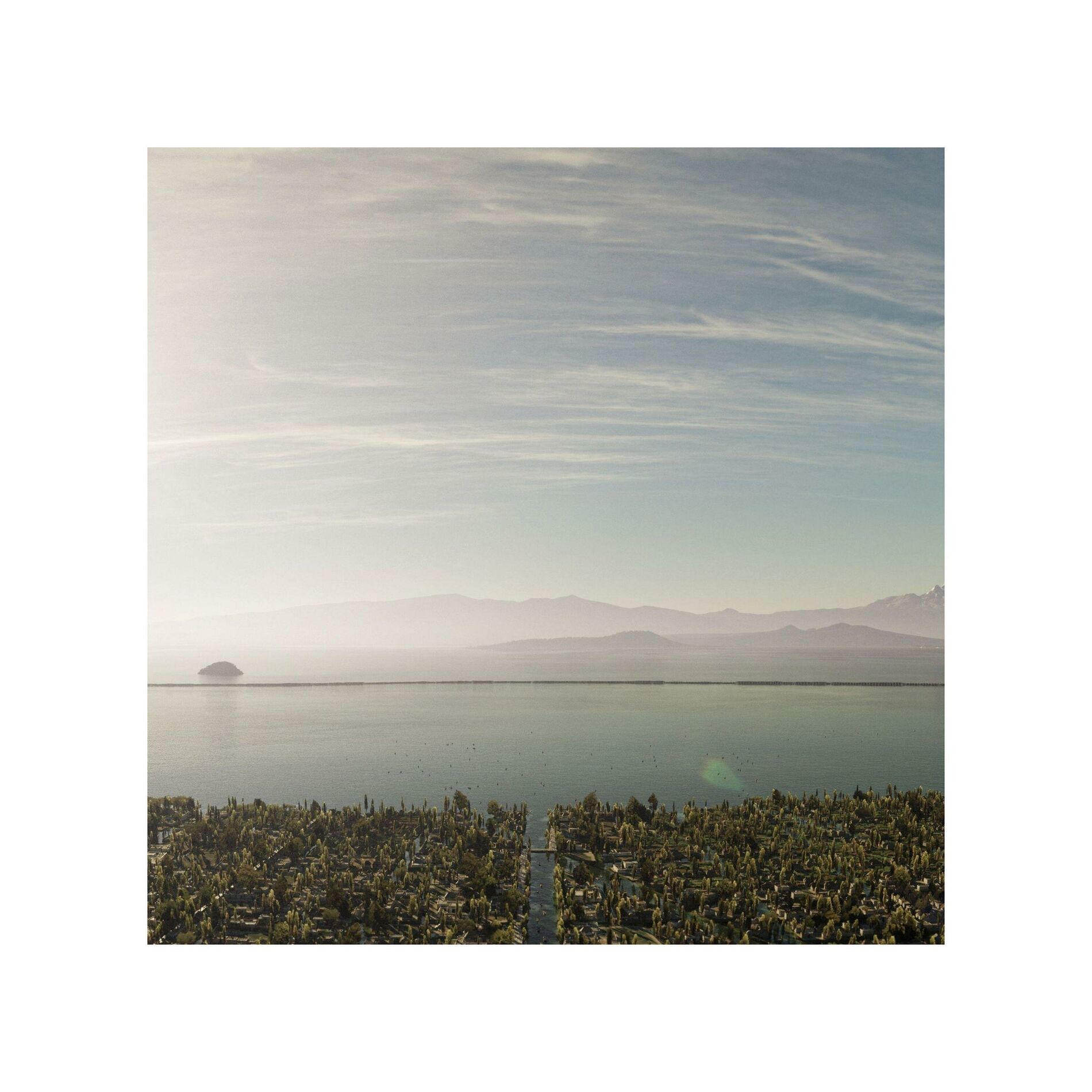 Album cover of Variantes