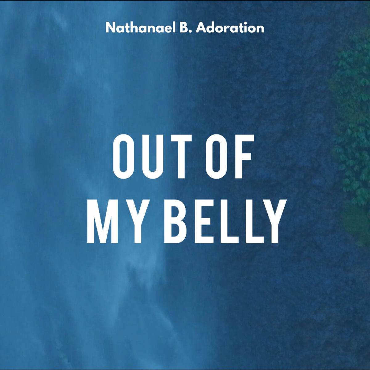 Album cover of Out of My Belly