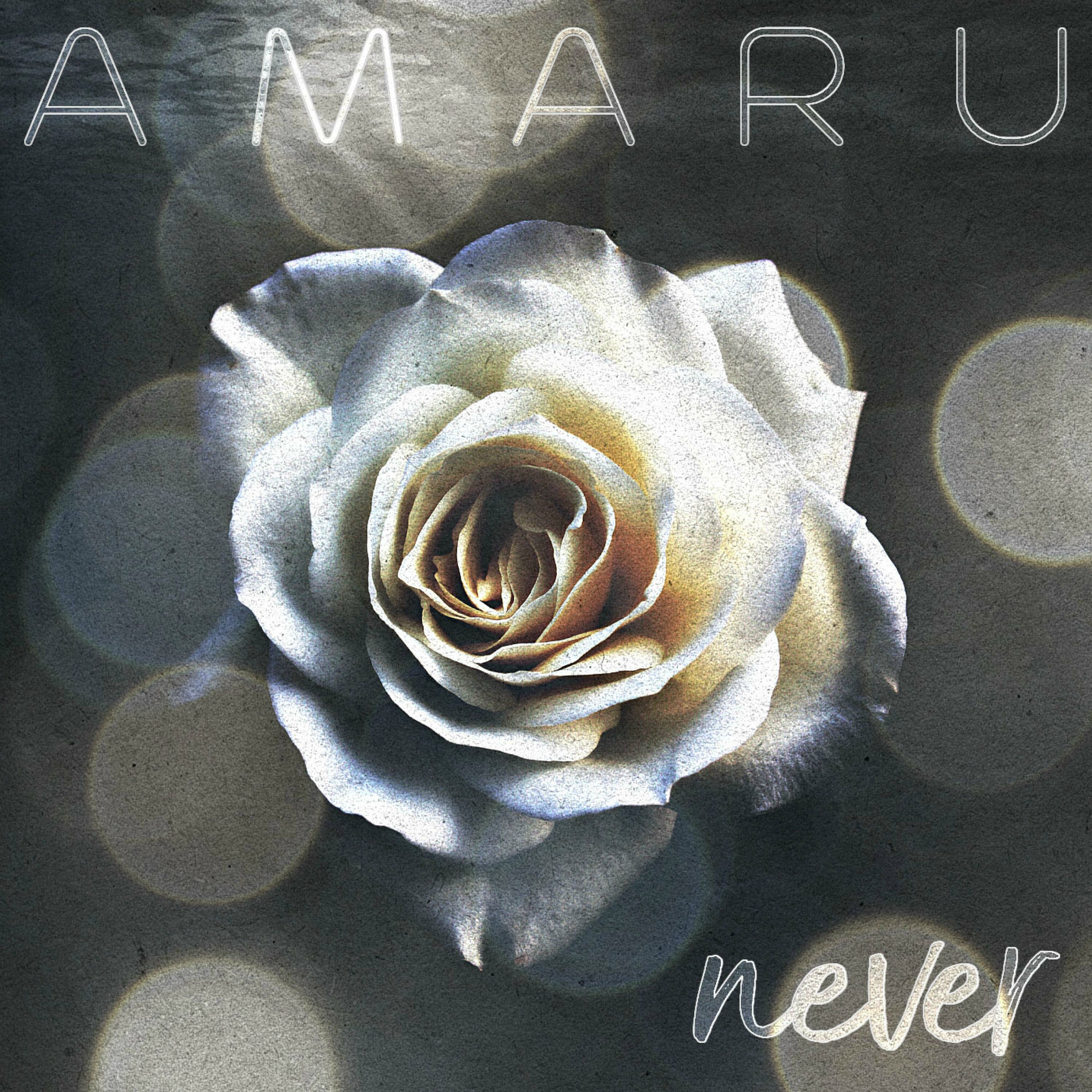 Album cover of Never (Single Mix)
