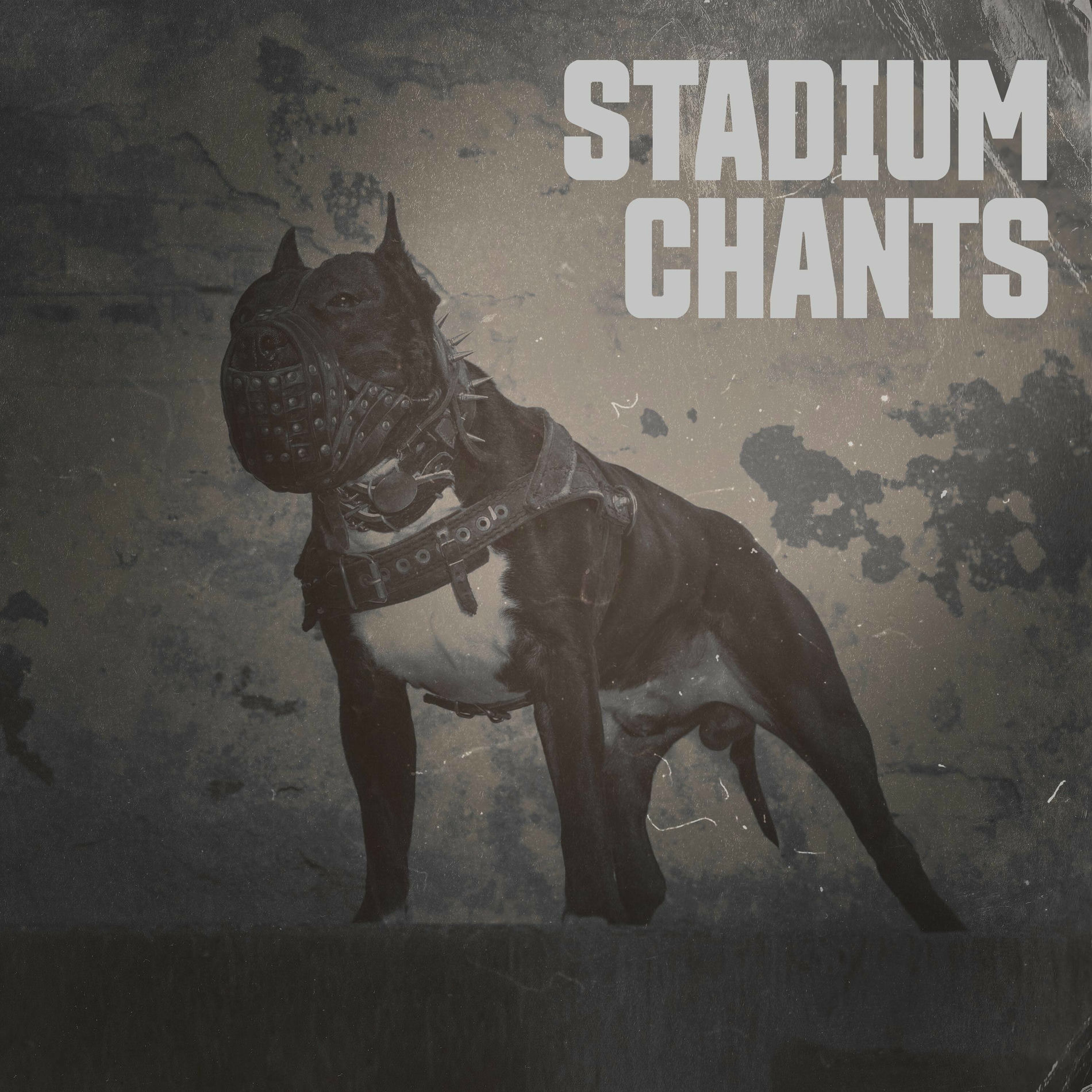 Album cover of Stadium Chants