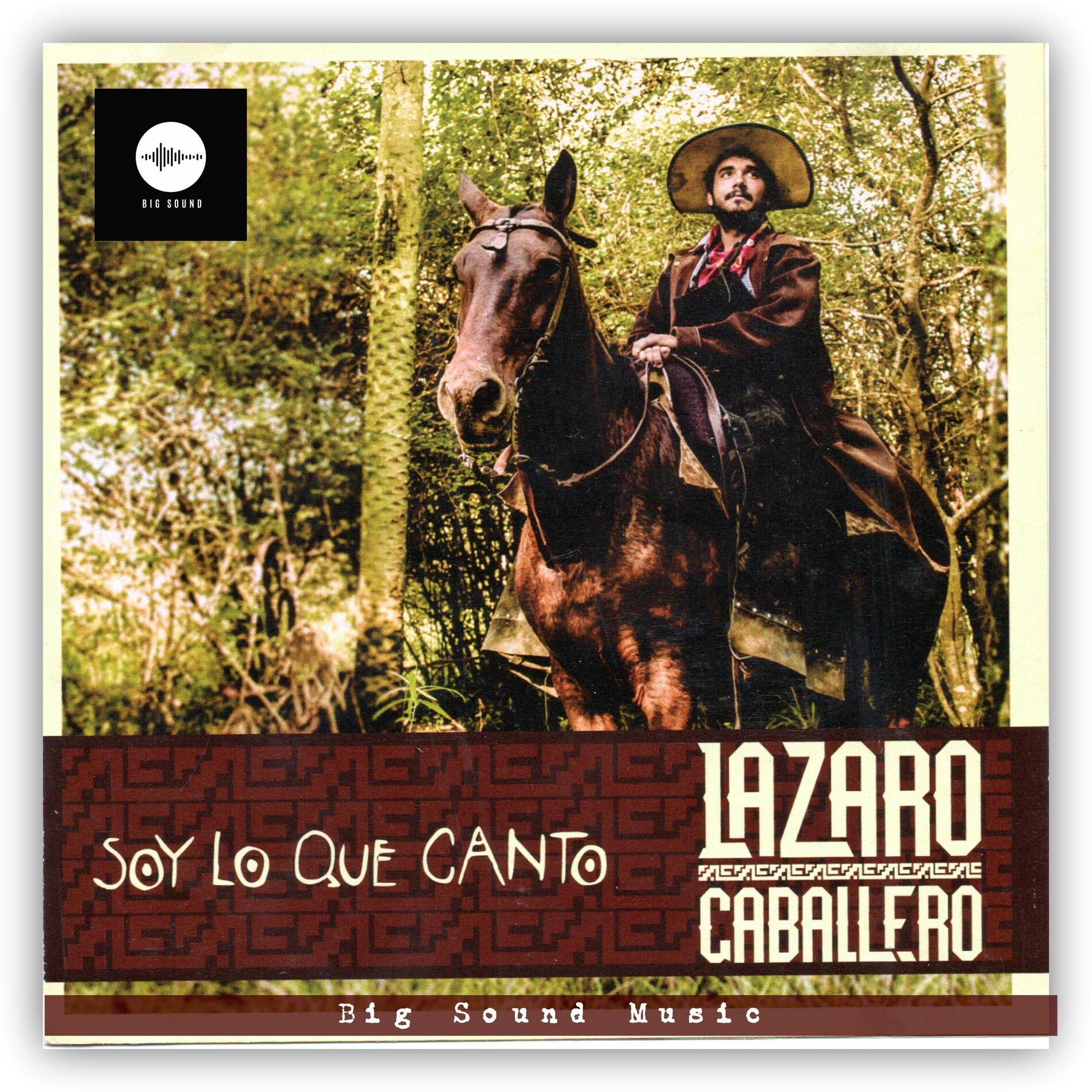 Album cover of Sinfonía Silvestre