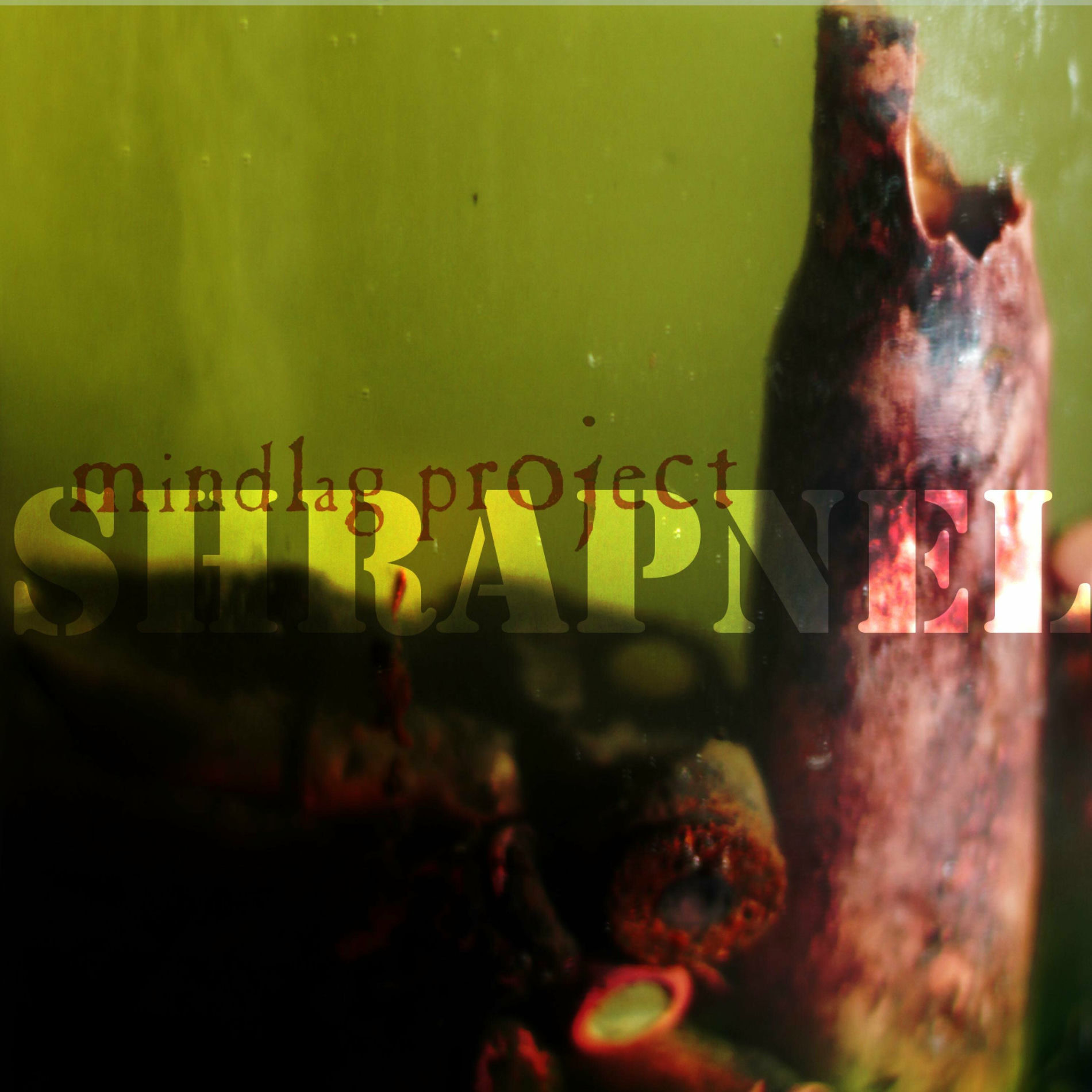 Album cover of Shrapnel