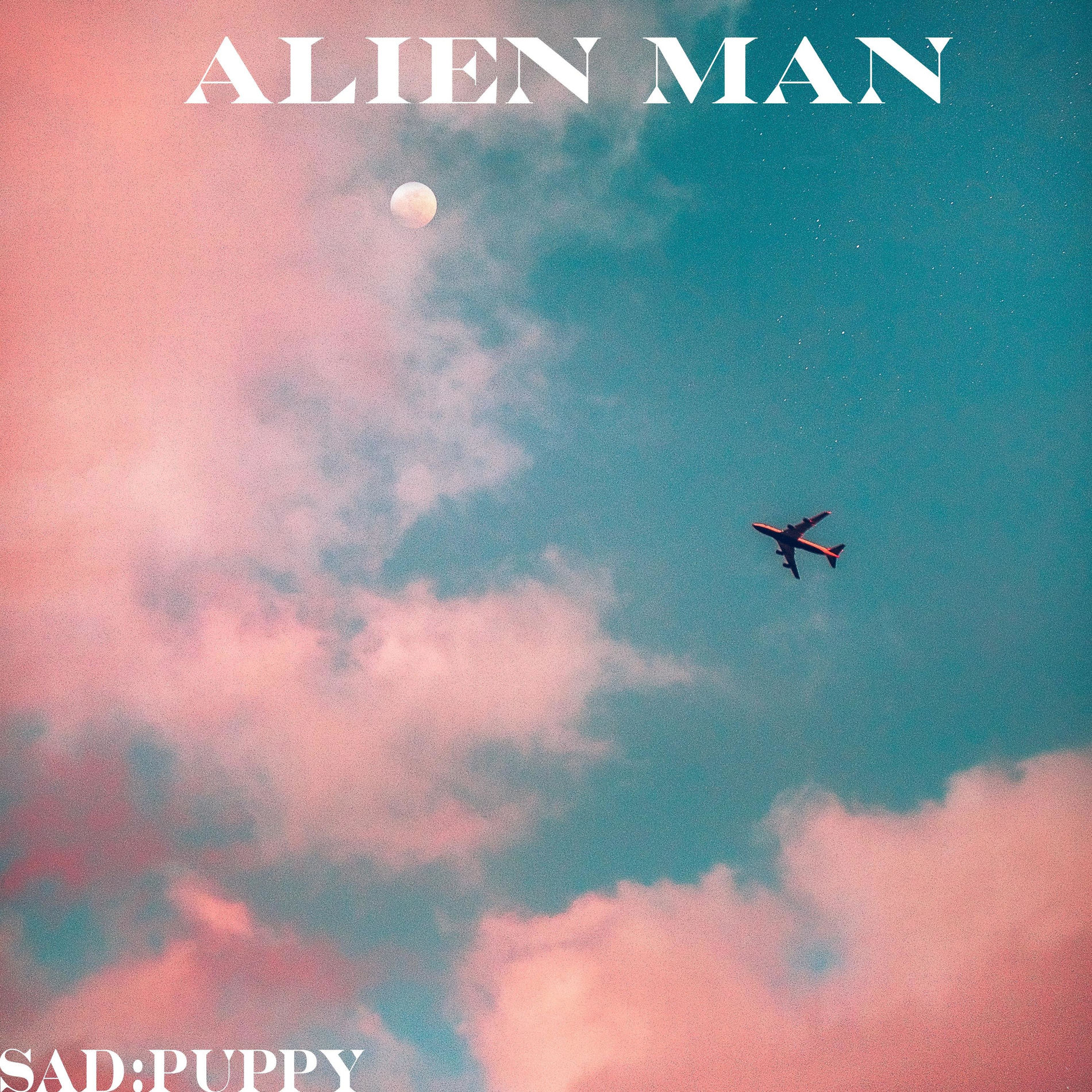 Album cover of Alien Man