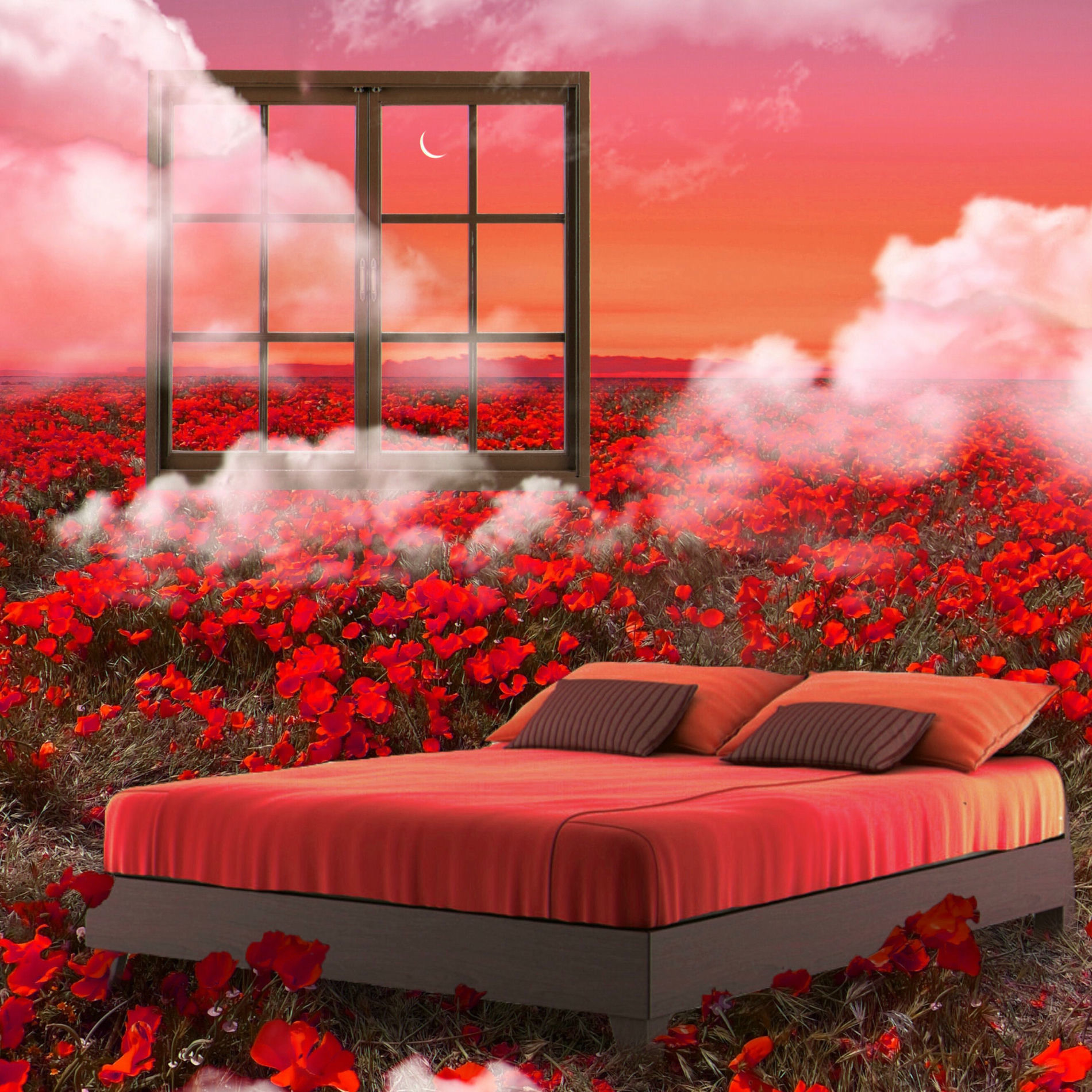 Album cover of self care