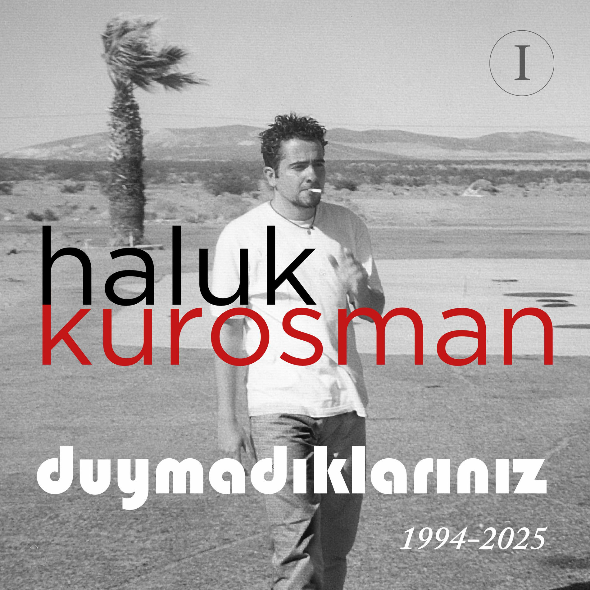 Album cover of DUYMADIKLARINIZ I