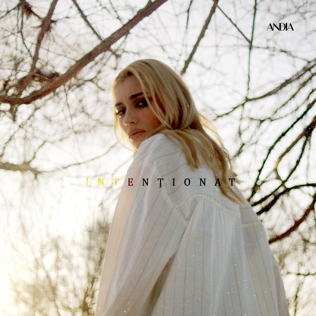 Album cover of Intentionat