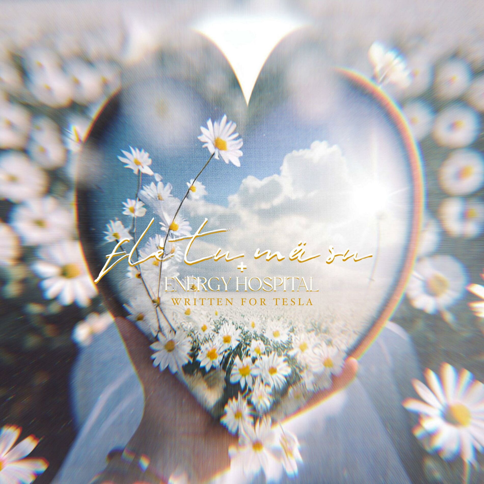 Album cover of flè tu mä su