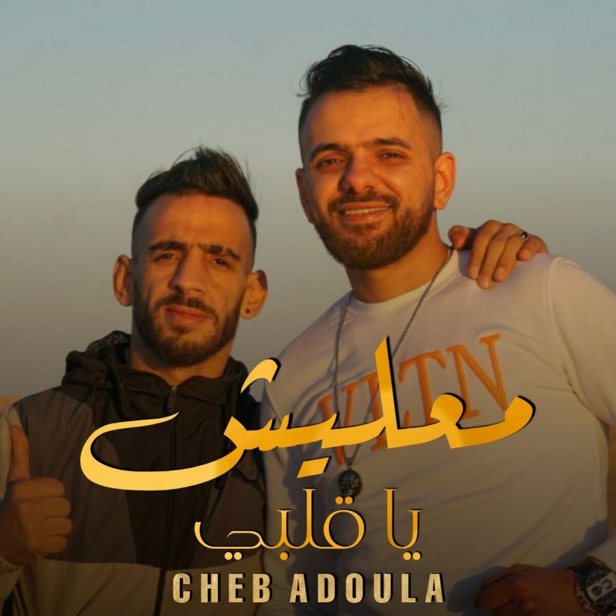 Album cover of Ma3lich Ya 9albi
