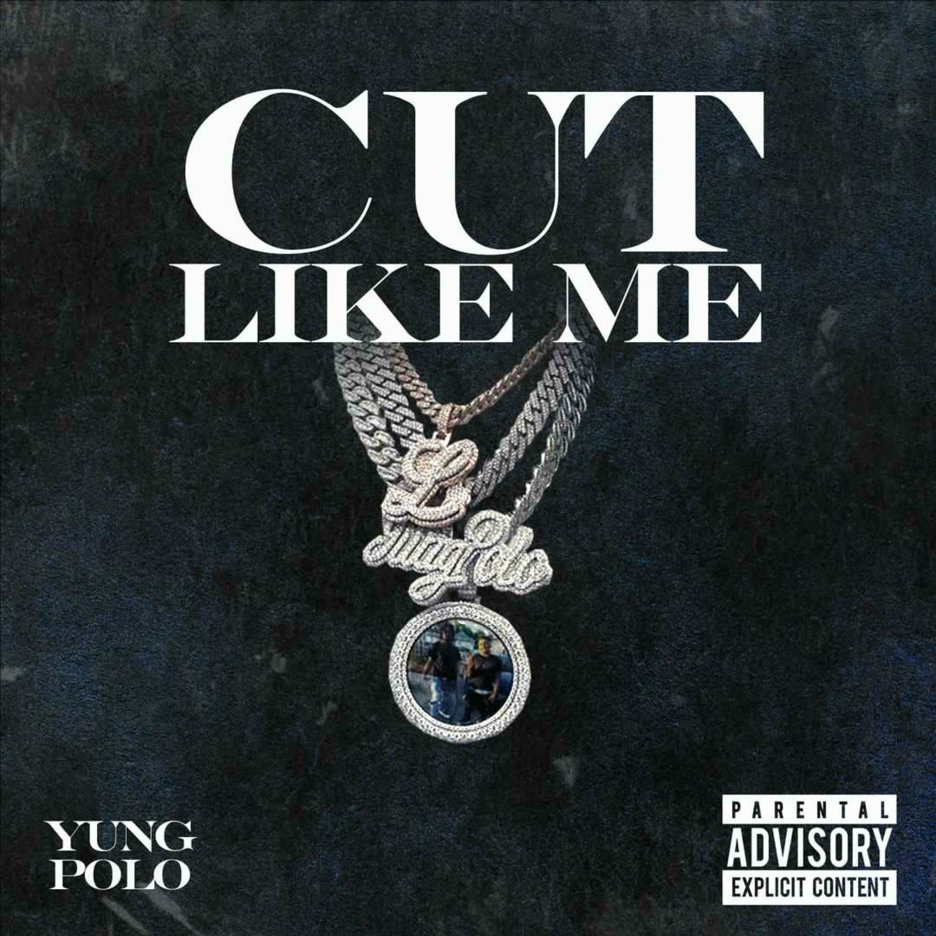 Album cover of Cut Like Me
