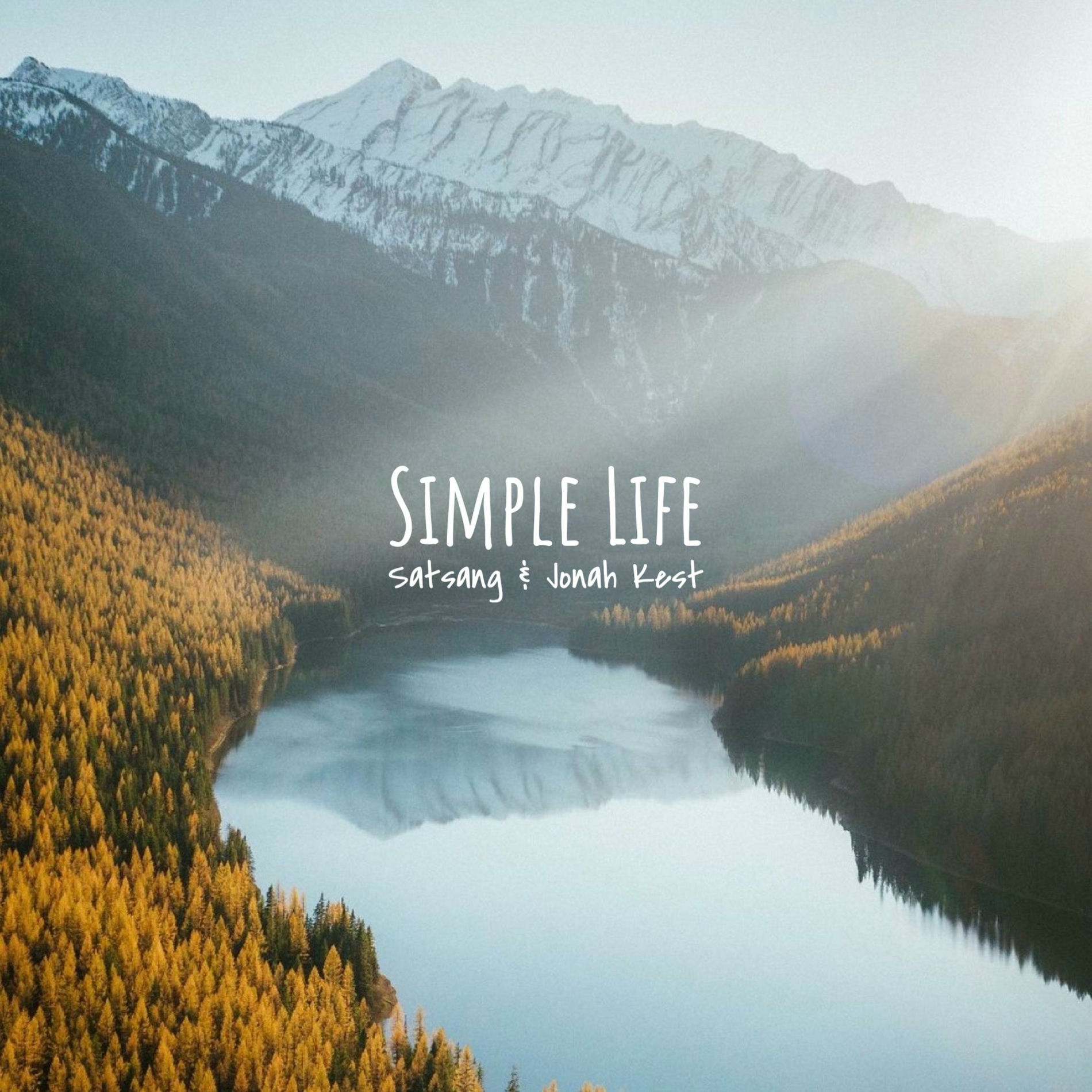Album cover of Simple Life