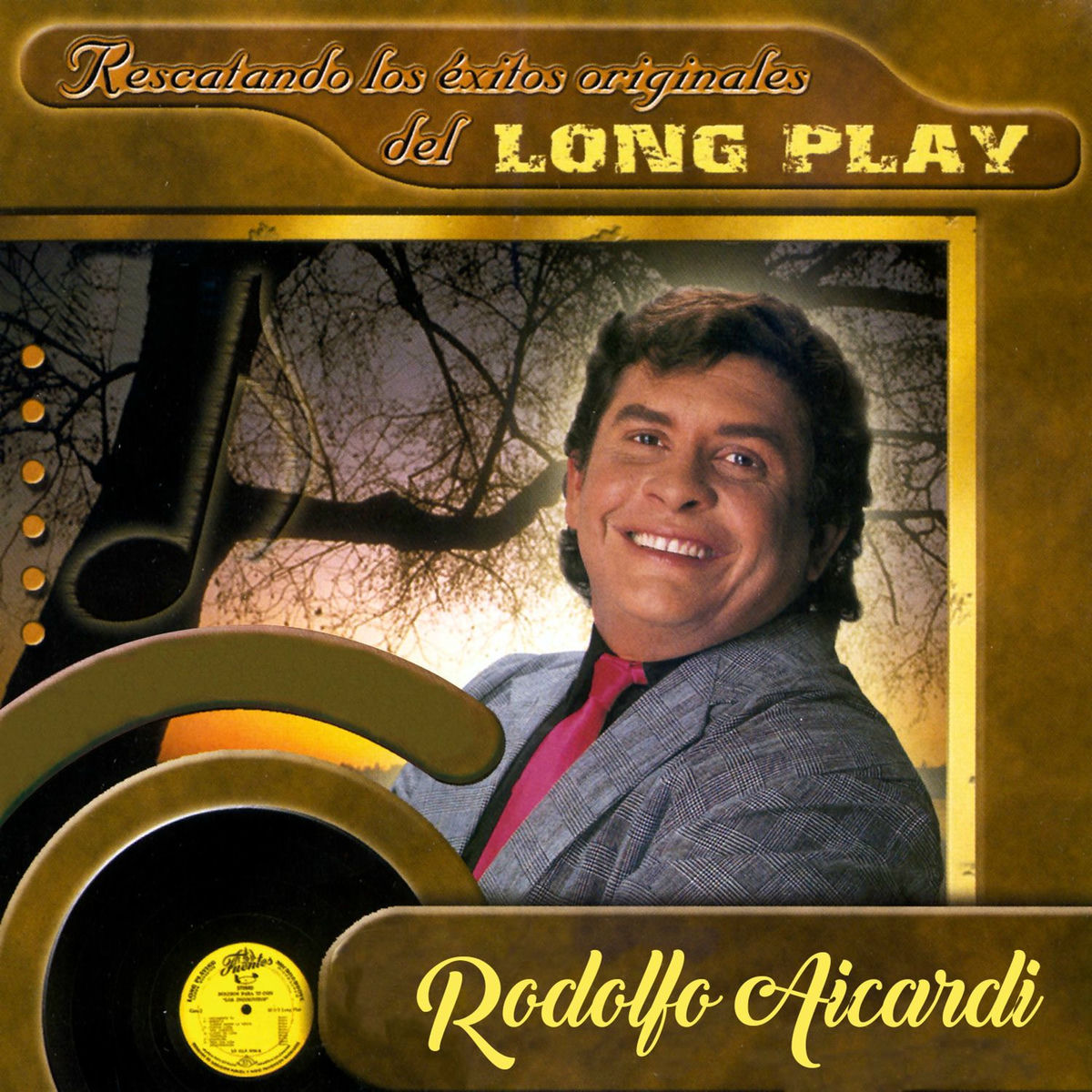 Album cover of Rescatando los Éxitos Originales de Long Play