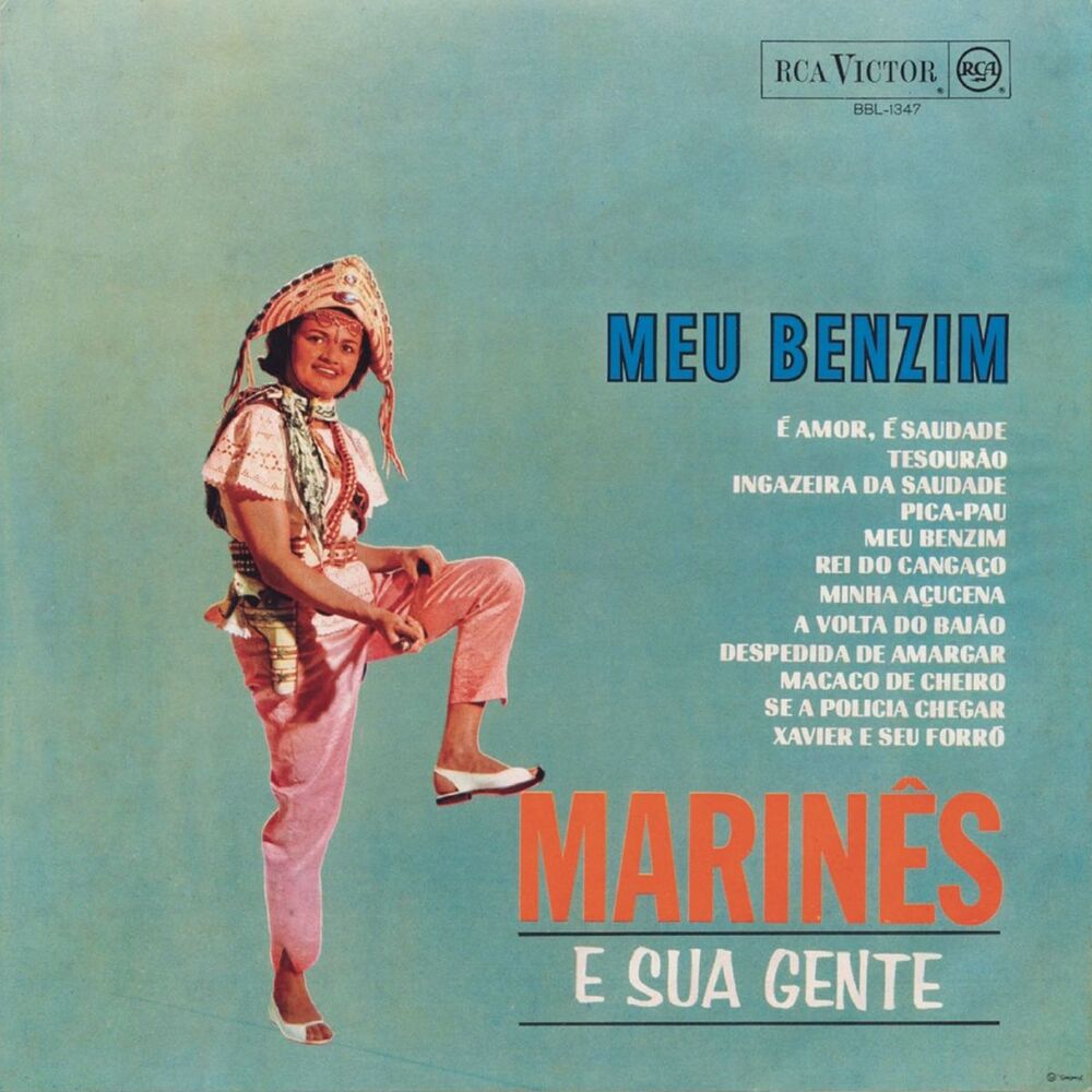 Picture of Meu Benzim
