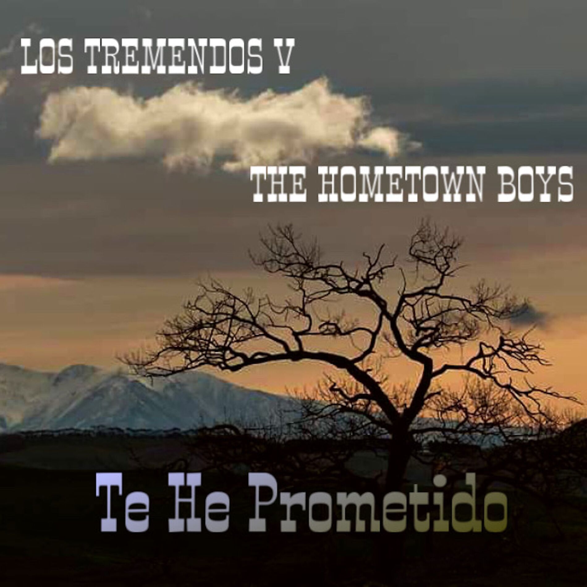 Album cover of Te He Prometido