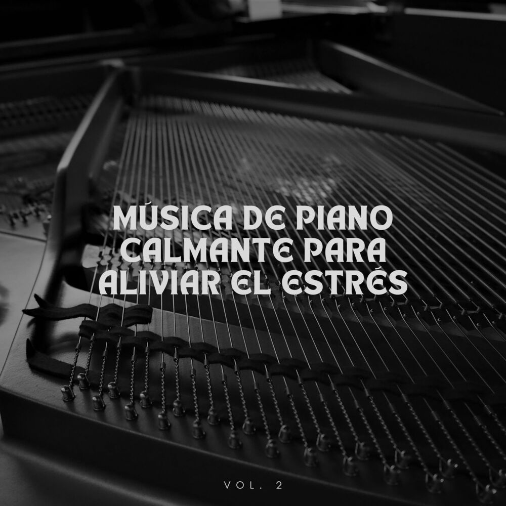 Picture of Música de piano calmante para aliviar el estrés Vol.2