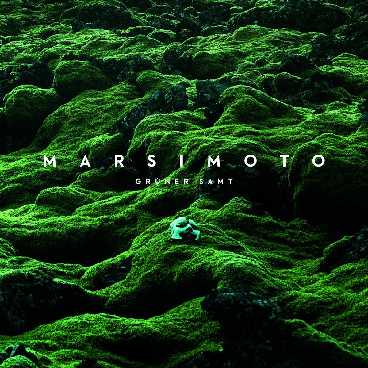Album cover of Grüner Samt