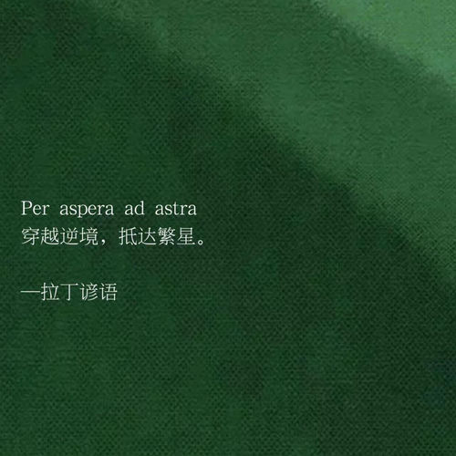不为谁而作的歌