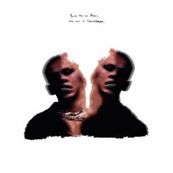 Cover of The Stonebrook Project